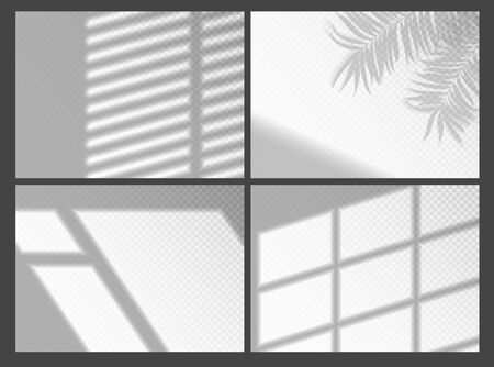 Shadow overlays for mockup presentation. Organic palm tree shadow and jalousie shadows window frame for natural light effects. Window light and shadow realistic grey decorative vector backgroundのイラスト素材