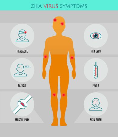 Zika virus symptoms infographics with stick figures, icons, human silhouette and text.のイラスト素材