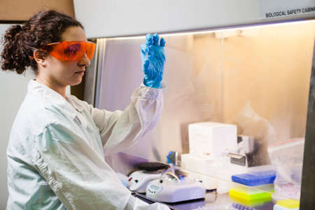 Female researcher watching a sample working in a laminar box at labの写真素材