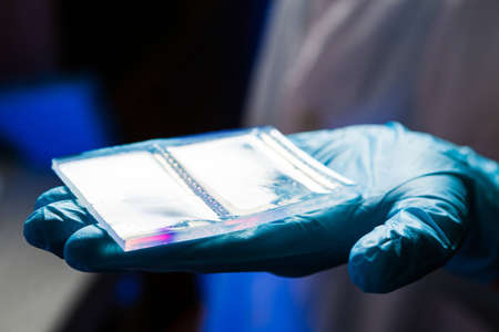 Agarose gel plate for DNA separation after the electrophoresisの写真素材