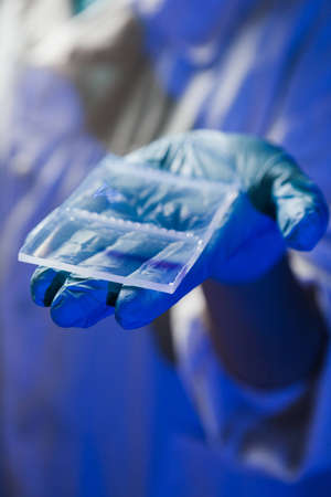 Agarose gel plate for DNA separation after the electrophoresisの写真素材