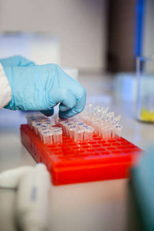 Researcher works with a rack of Eppendorf test tubesの写真素材