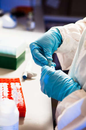 Researcher works with a rack of Eppendorf test tubesの写真素材