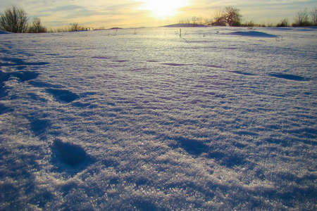 sunlight along the field covered with white snow