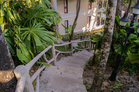 Staircase with stone steps between the treesの写真素材