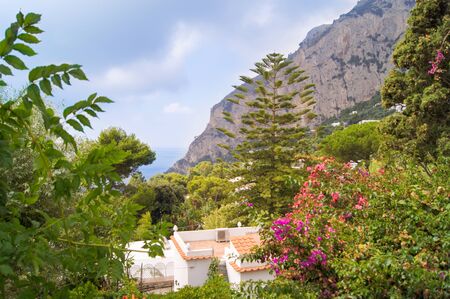 house at the shoreの写真素材