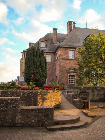 plants and stoneの写真素材