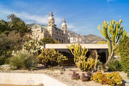 House and cactiの写真素材