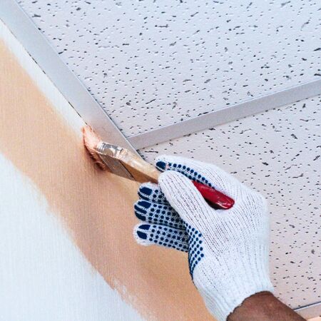 Painting brush the ceiling.の写真素材