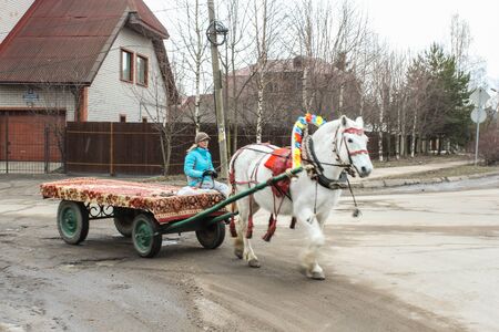Horse carriage in the street.のeditorial素材