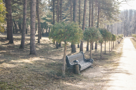 The track in the forest park. Nature and landscape in the spring with elements of small architecture.の写真素材
