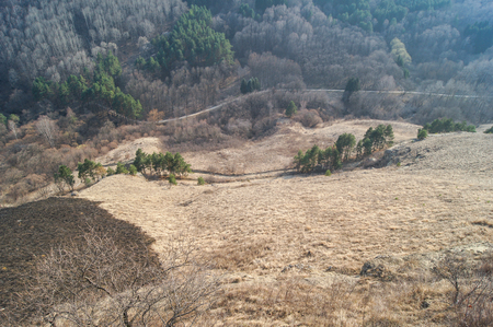 The road under the mountain. Spring Nature Caucasian Mineral Waters in the area.の写真素材