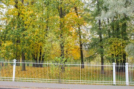 Park behind the fence.のeditorial素材