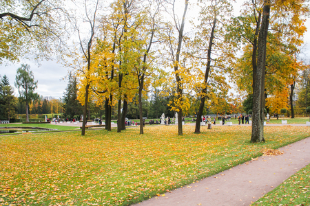Catherine Park in the fall.のeditorial素材