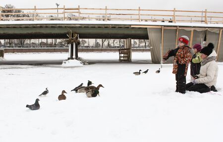 Children feeding birds. Winter in the city streets and in parks.のeditorial素材