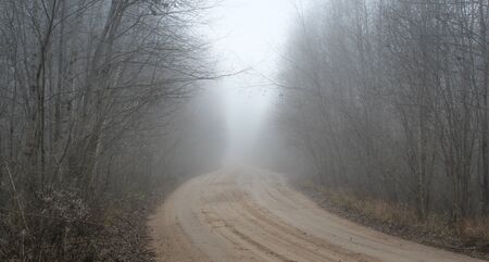 The car in thick fog. Atmospheric photos of nature on a frosty, foggy weather.の写真素材
