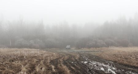 Broken road in misty forest. Atmospheric photos of nature on a frosty, foggy weather.の写真素材