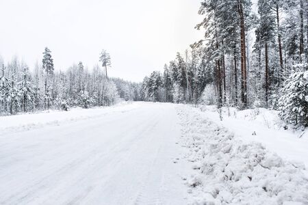 The road through the winter woods.