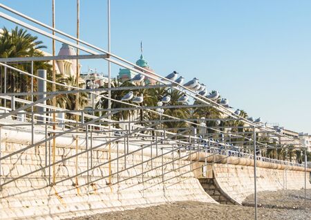 Gulls on a metal structure.の写真素材