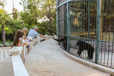 People have cells with monkeys. Zoo and animals on the territory of the hotel Yalta Intourist.のeditorial素材