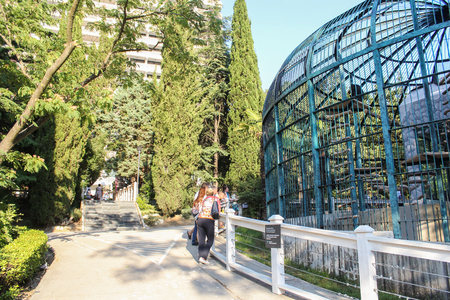 A cage with chimpanzees. Zoo and animals on the territory of the hotel Yalta Intourist.のeditorial素材