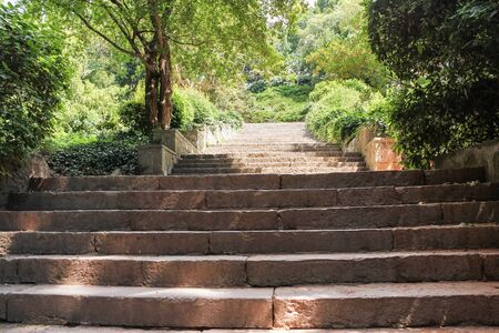 Stone staircase in the botanical garden.