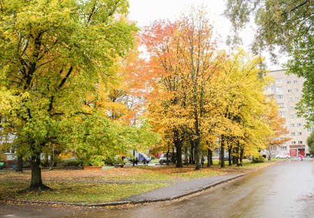 Bright autumn colors in the provincial cities of Russia.のeditorial素材