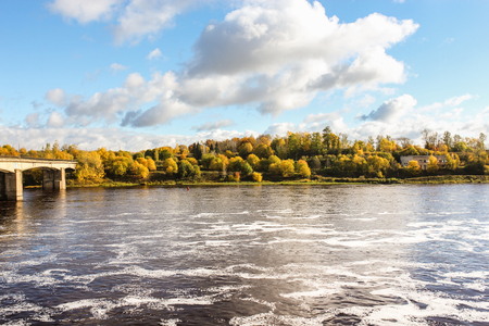 Bright colors of autumn in nature.の写真素材