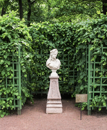 Walking through the Summer Garden of St. Petersburg in cloudy, rainy weather.の写真素材