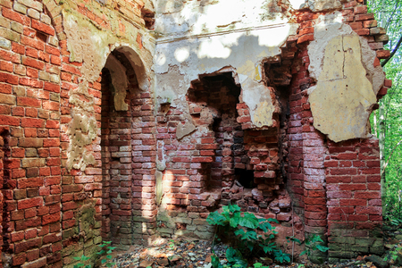 The ruins of an ancient monastery in a thicket of wild forest.の写真素材