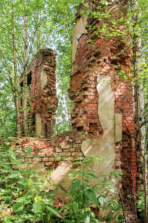 The ruins of an ancient monastery in a thicket of wild forest.の写真素材