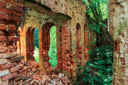 The ruins of an ancient monastery in a thicket of wild forest.の写真素材