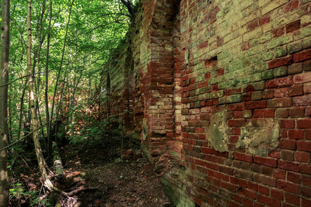 The ruins of an ancient monastery in a thicket of wild forest.の写真素材