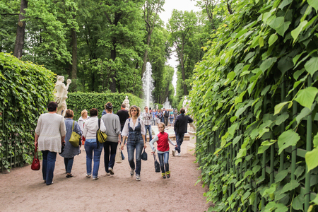 Walking through the Summer Garden of St. Petersburg in cloudy, rainy weather.のeditorial素材