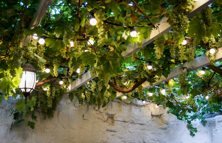 Interiors of premises in traditional ethnic style.の写真素材