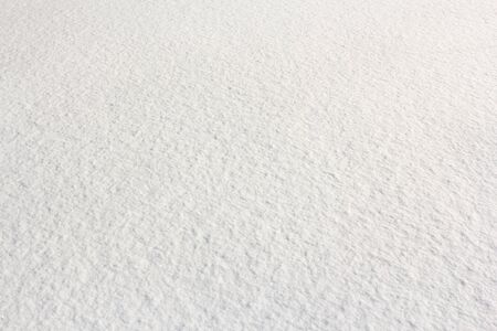 Winter nature under snow on a sunny day.の写真素材