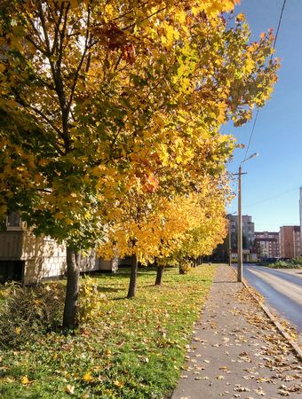 Autumn view of the town of Provincial.の写真素材