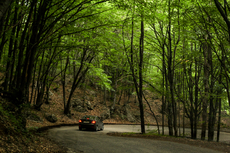 Views from the window of a moving car on the roads of the Crimea.の写真素材