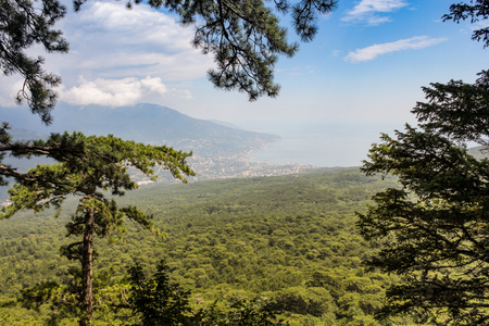 Mountain forest landscape on Mount Ai-Petri.の写真素材
