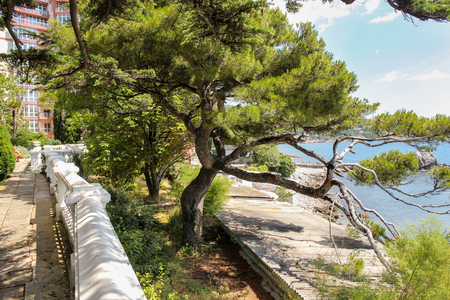 Picturesque Crimean landscapes and views of the city of Semeiz.の写真素材