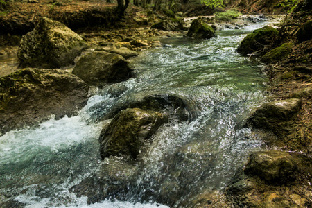 Forest landscape along the Big Crimean Canyon.