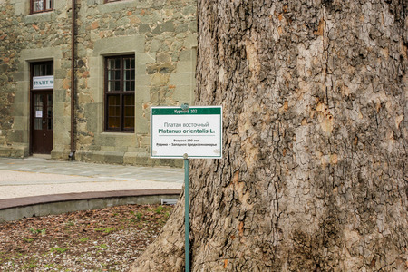 Architecture and courtyard of the Vorontsov Palace in Alupka.の写真素材