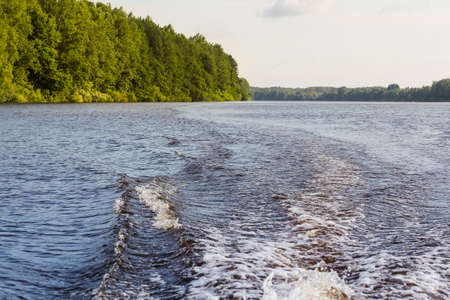 Nature on the banks of the Volkhov River.