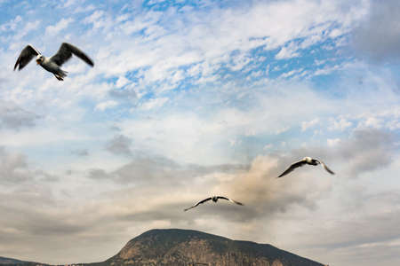 Boat trip from Yalta to Gurzuf.の写真素材