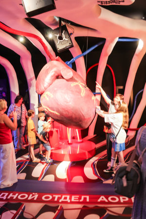 Forum-festival "Territory of the Future. Moscow 2030", museum of human organs.の写真素材