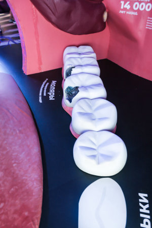 Forum-festival Territory of the Future. Moscow 2030, museum of human organs.