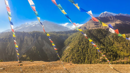 Trekking along the scenic route in Nepal around Annapurna.の写真素材