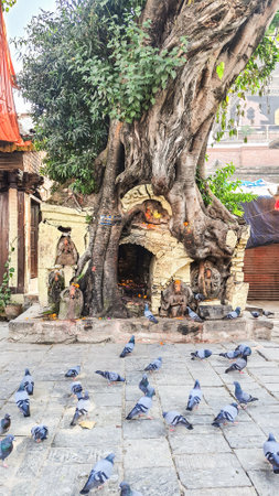 Walking tour of famous city places of Kathmandu Valley.の写真素材