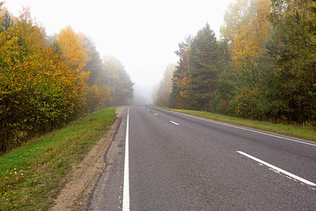 Forest landscape on the basis of the allegory - autumn is approaching.の写真素材