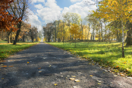Autumn alley in a city park on a background of blue cloudy sky.の写真素材